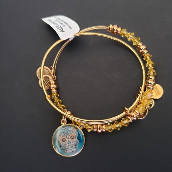 Alex and Ani Jewelry - Alex and Ani Gold Art Infusion Calavera Swarovski Set  646